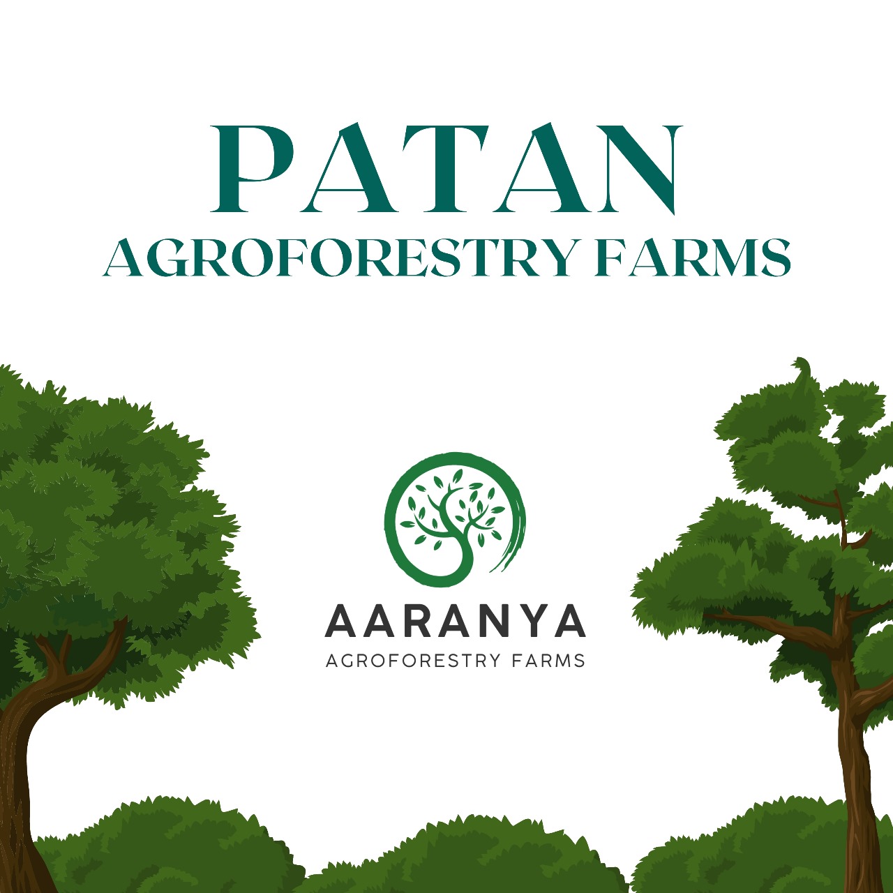 PATAN Agroforestry